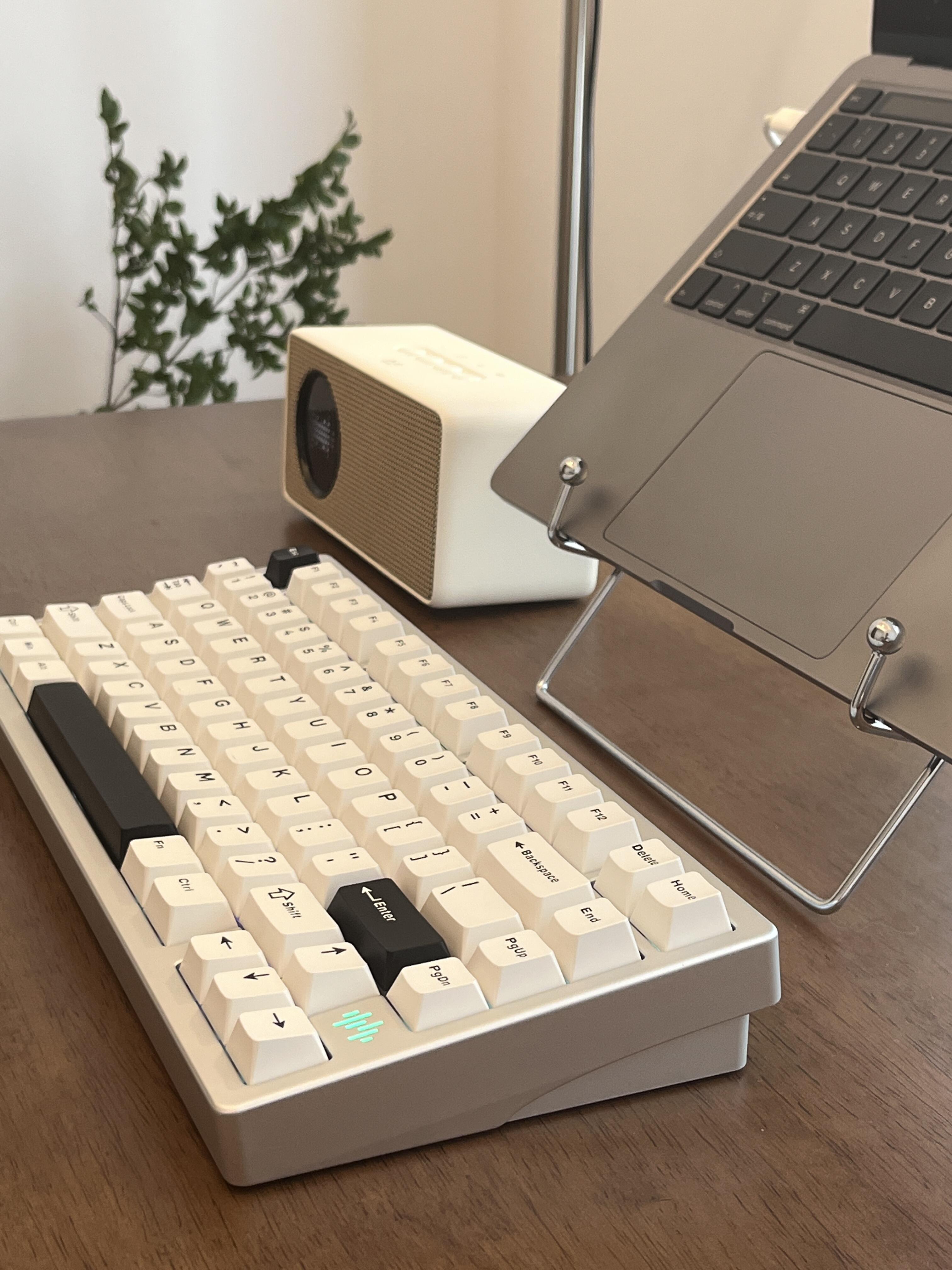 Apple Magic Keyboard vs. Aluminum Keyboards: Comfort and Sound Comparison