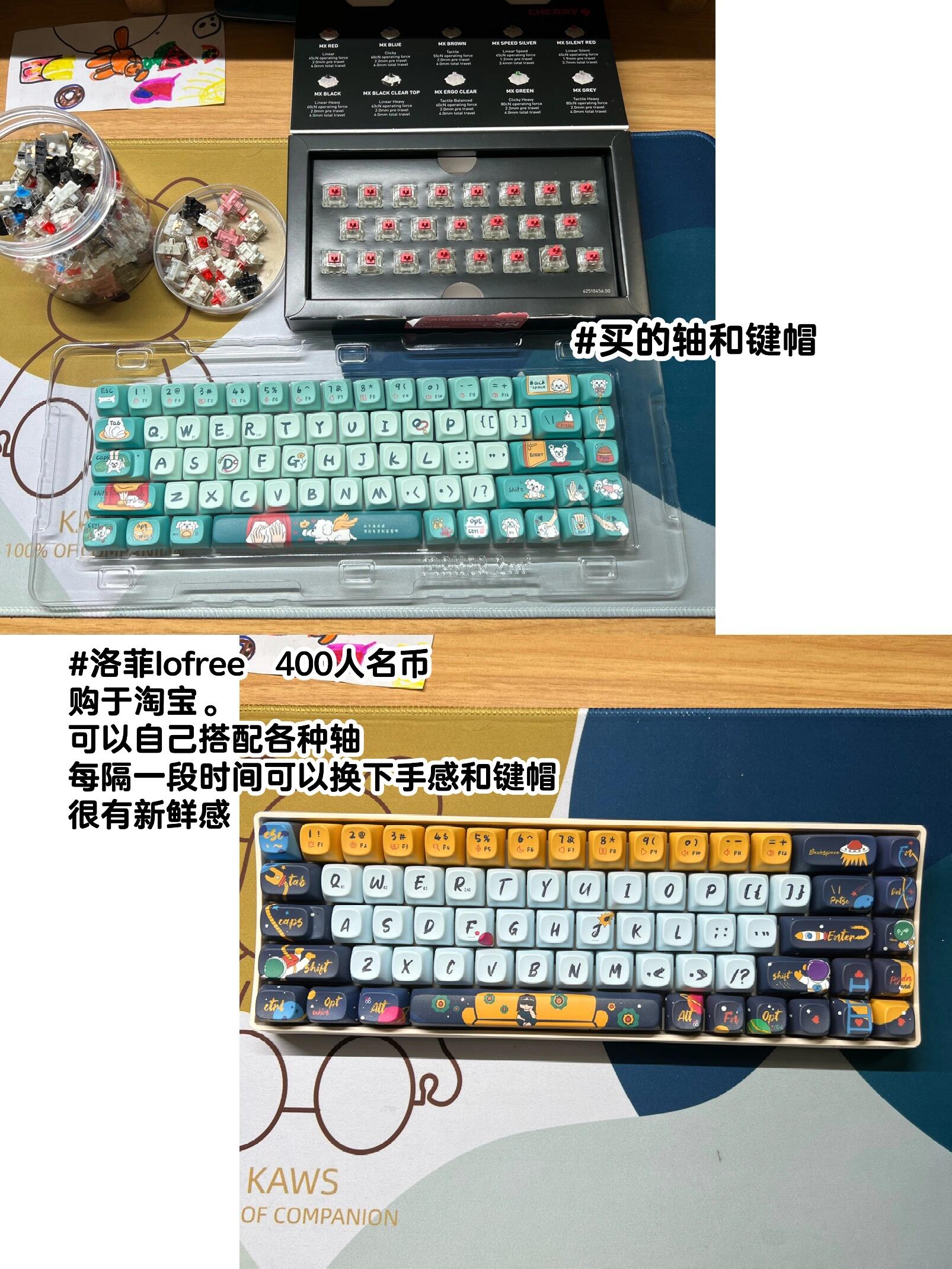 Best Programmer Keyboards: Cherry Red Switches for Coding and Cherry Blue for Gaming