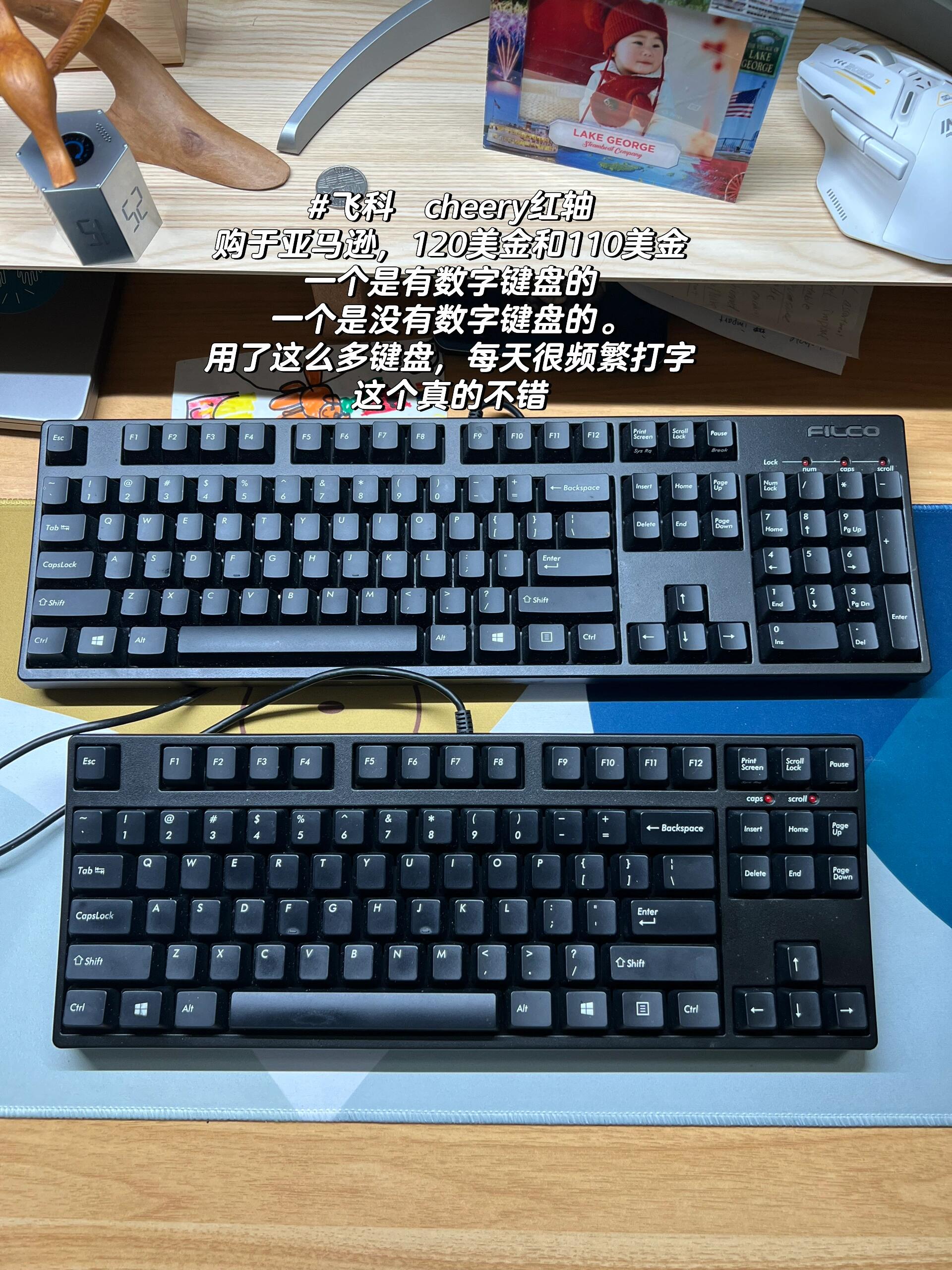Best Programmer Keyboards: Cherry Red Switches for Coding and Cherry Blue for Gaming