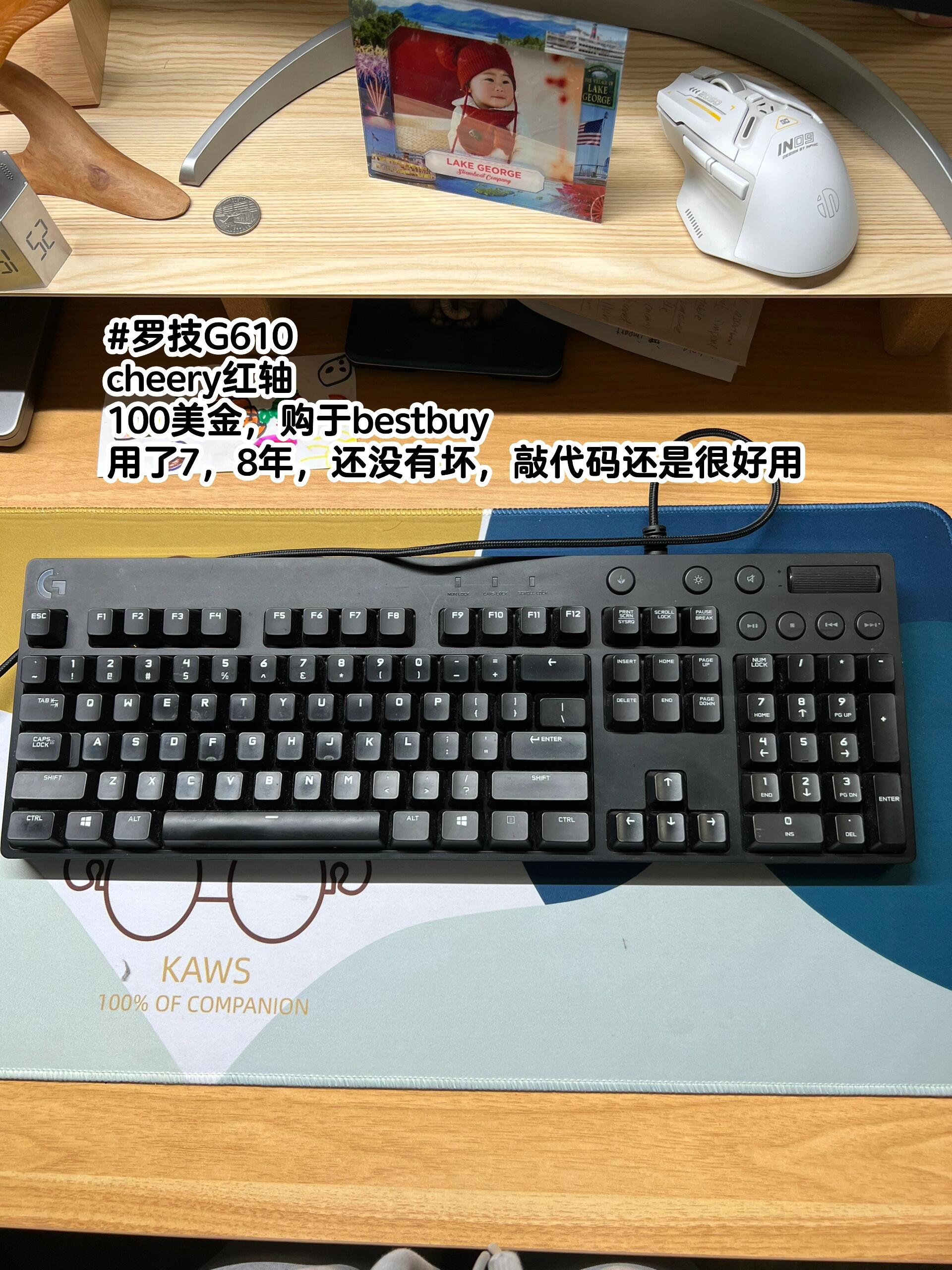 Best Programmer Keyboards: Cherry Red Switches for Coding and Cherry Blue for Gaming